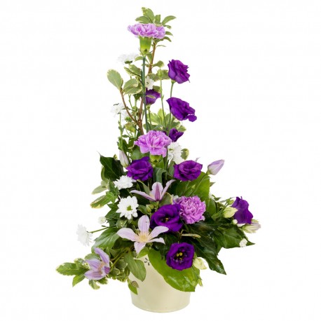 Classical Touch Pot Arrangement