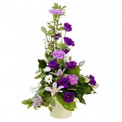 Classical Touch Pot Arrangement