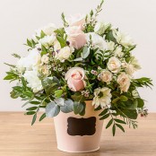 Dawn Pot Arrangement